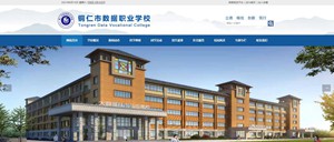 卓尼数据职业学校