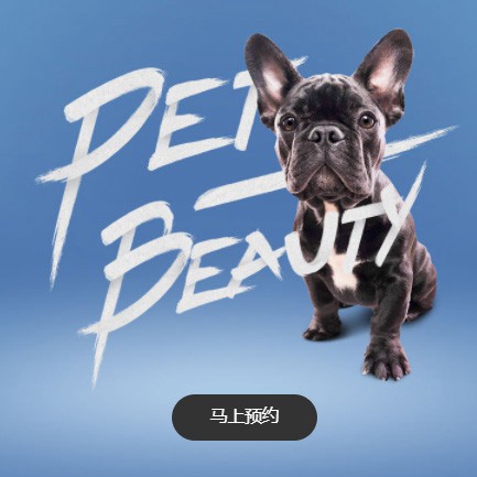 卓尼宠物中心小程序开发